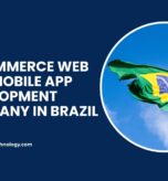 E-commerce Web and Mobile App Development Company in Brazil